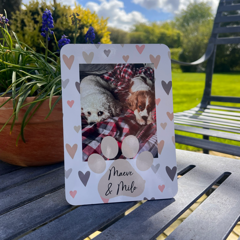 Pet Photo Panels